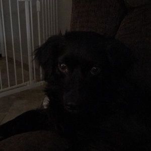 Meet your Posher, Ari